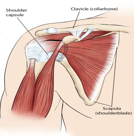 Frozen Shoulder – Symptoms, Causes, Diagnosis & Treatment options at ...